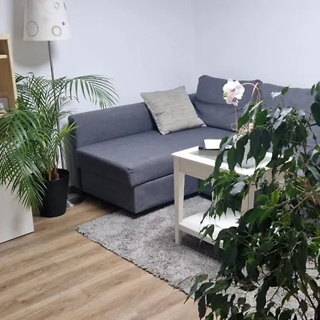 Apartman Charmantes Und Neu Renoviertes In Der Naehe Des Flughafens