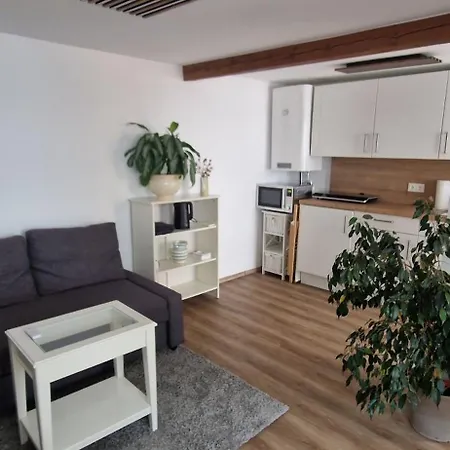 Apartman Charmantes Und Neu Renoviertes In Der Naehe Des Flughafens Schwechat