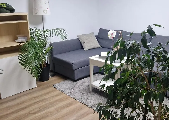 Apartman Charmantes Und Neu Renoviertes In Der Naehe Des Flughafens