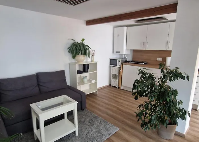 Apartman Charmantes Und Neu Renoviertes In Der Naehe Des Flughafens Schwechat