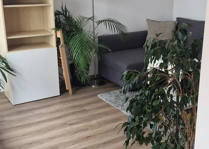 Charmantes Und Neu Renoviertes In Der Naehe Des Flughafens