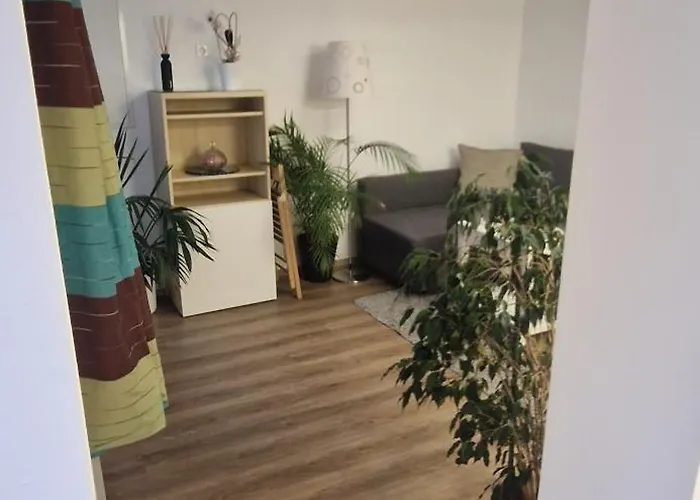 Apartman Charmantes Und Neu Renoviertes In Der Naehe Des Flughafens *